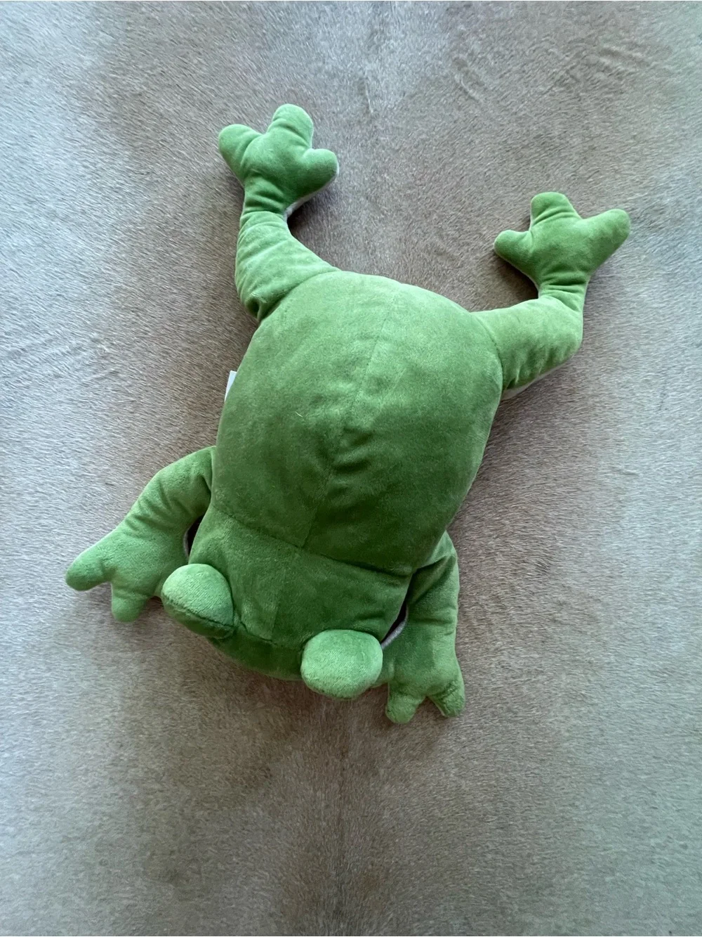 Frog Dissection Plush